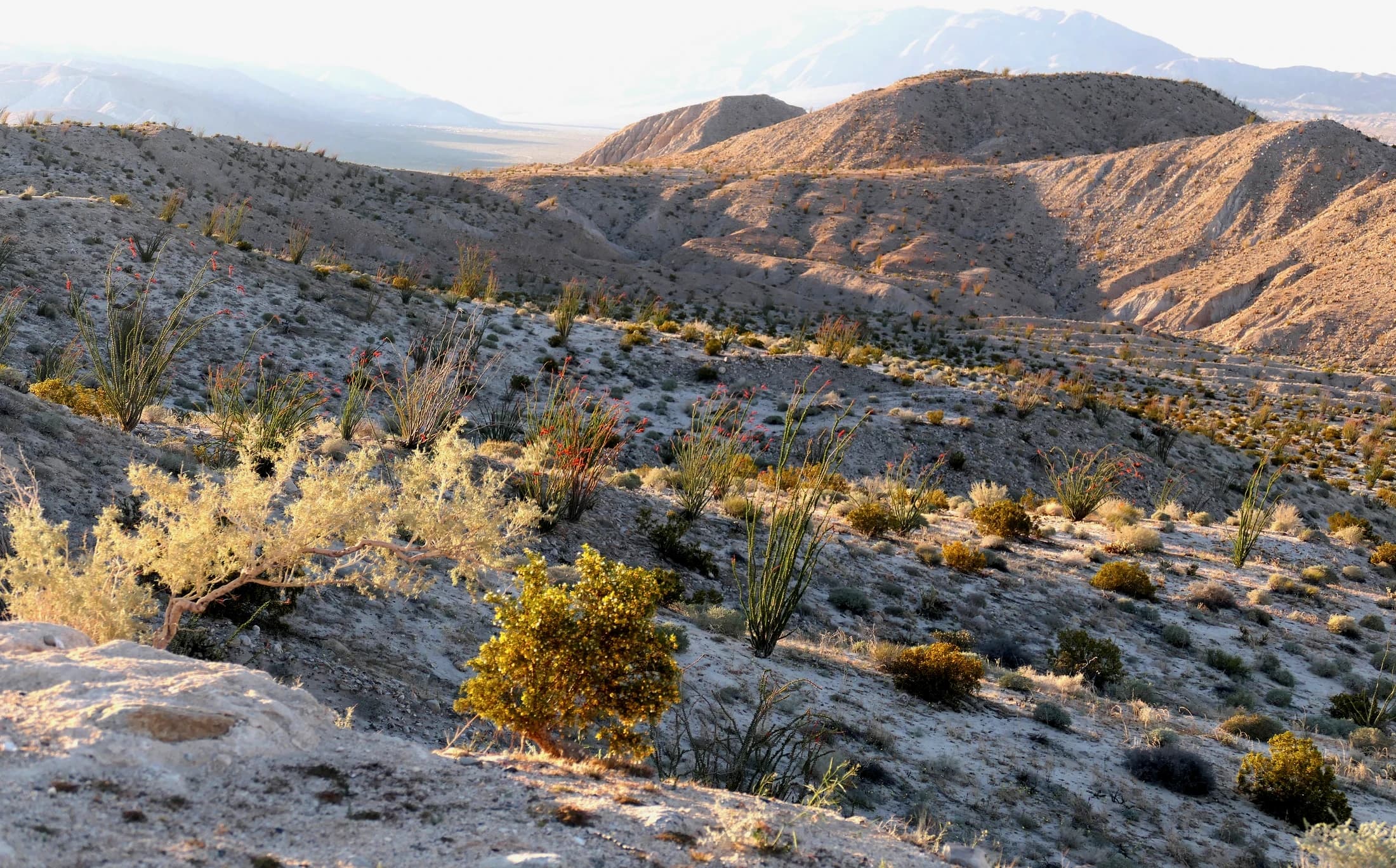 Mountains rising above the Southern California desert
