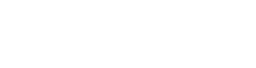 Stark Future
